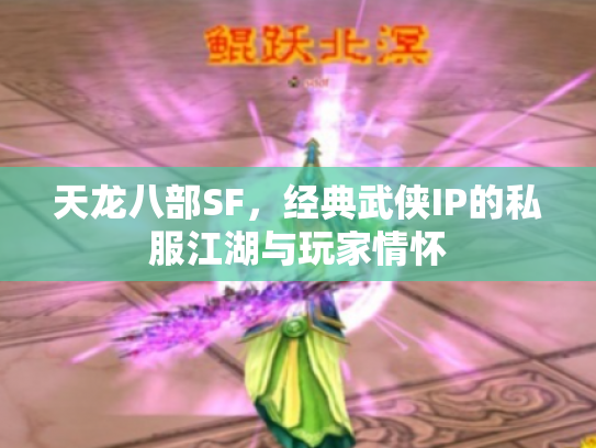 天龙八部SF，经典武侠IP的私服江湖与玩家情怀