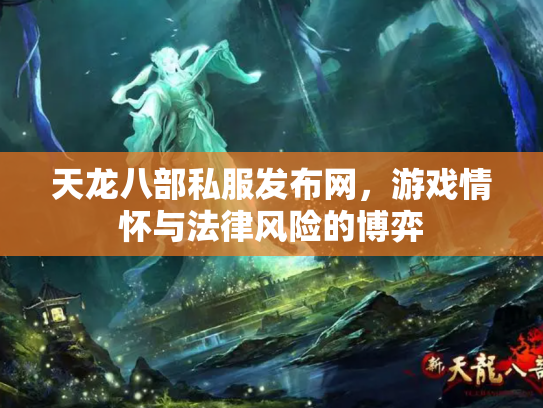 天龙八部私服发布网，游戏情怀与法律风险的博弈