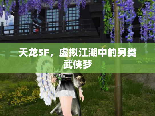 天龙SF，虚拟江湖中的另类武侠梦