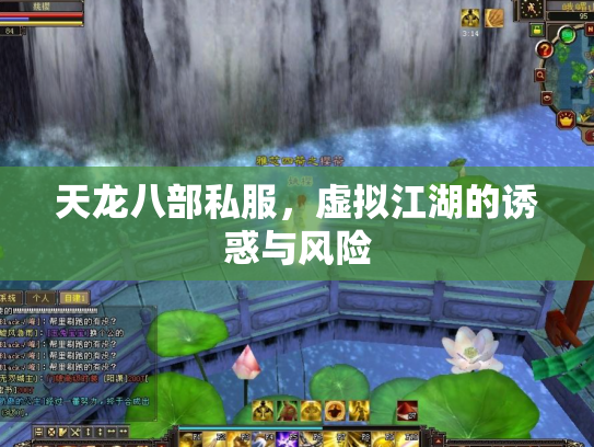 天龙八部私服，虚拟江湖的诱惑与风险
