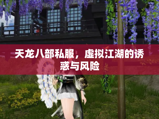 天龙八部私服，虚拟江湖的诱惑与风险