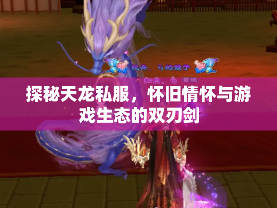 探秘天龙私服，怀旧情怀与游戏生态的双刃剑
