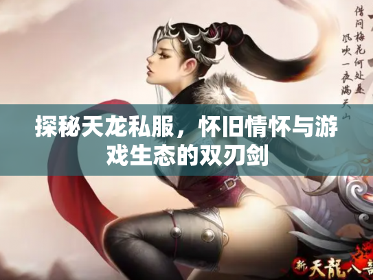 探秘天龙私服，怀旧情怀与游戏生态的双刃剑