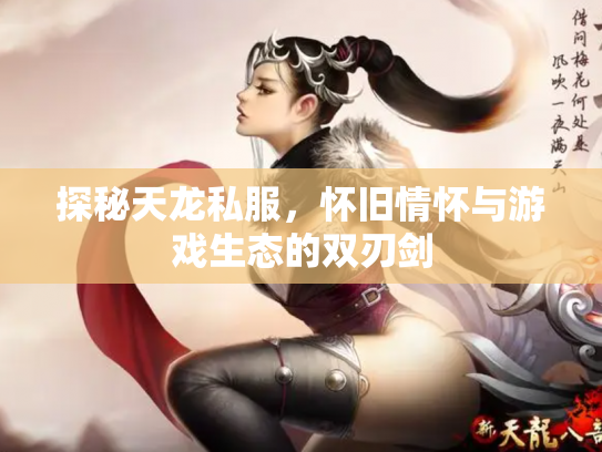 探秘天龙私服，怀旧情怀与游戏生态的双刃剑