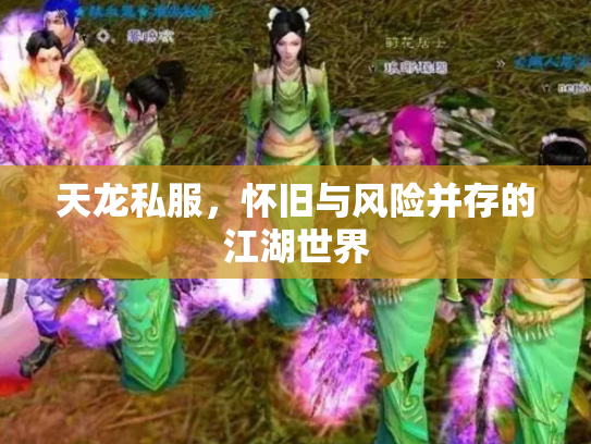 天龙私服，怀旧与风险并存的江湖世界