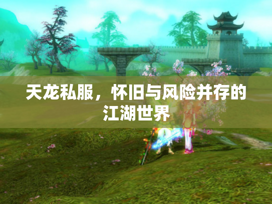 天龙私服，怀旧与风险并存的江湖世界