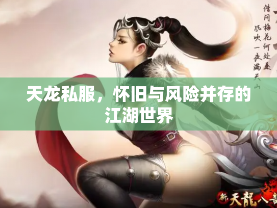 天龙私服，怀旧与风险并存的江湖世界