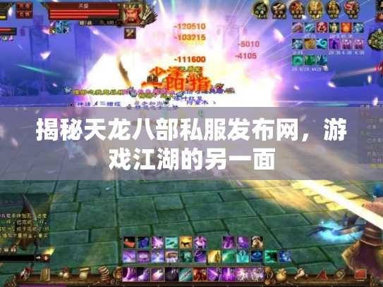 揭秘天龙八部私服发布网，游戏江湖的另一面