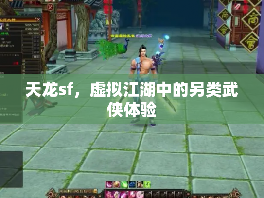 天龙sf，虚拟江湖中的另类武侠体验