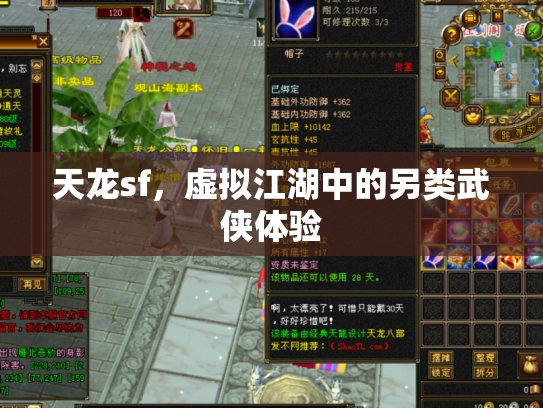 天龙sf，虚拟江湖中的另类武侠体验