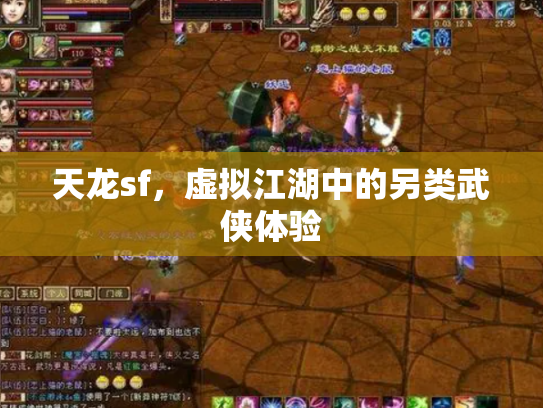 天龙sf，虚拟江湖中的另类武侠体验