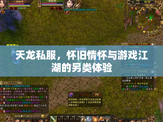 天龙私服，怀旧情怀与游戏江湖的另类体验