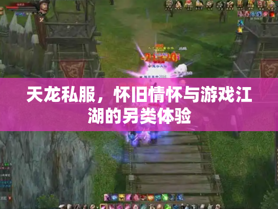 天龙私服，怀旧情怀与游戏江湖的另类体验