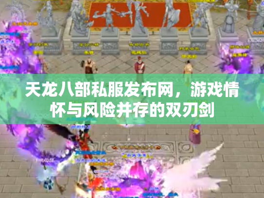天龙八部私服发布网，游戏情怀与风险并存的双刃剑