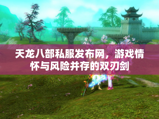天龙八部私服发布网，游戏情怀与风险并存的双刃剑