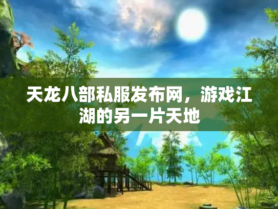 天龙八部私服发布网，游戏江湖的另一片天地