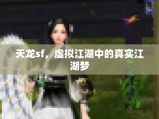 天龙sf，虚拟江湖中的真实江湖梦