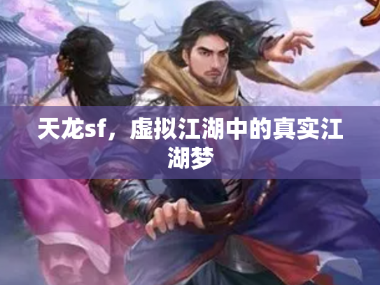 天龙sf，虚拟江湖中的真实江湖梦
