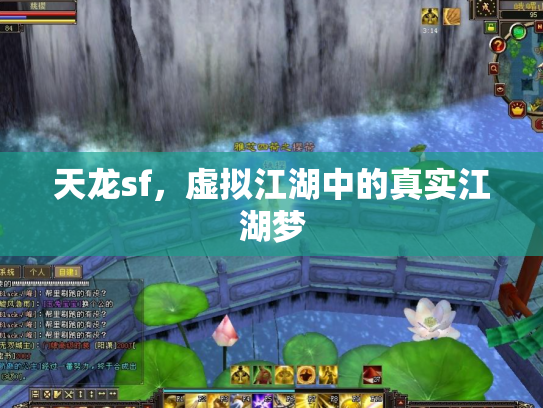 天龙sf，虚拟江湖中的真实江湖梦