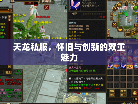 天龙私服，怀旧与创新的双重魅力