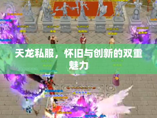 天龙私服，怀旧与创新的双重魅力