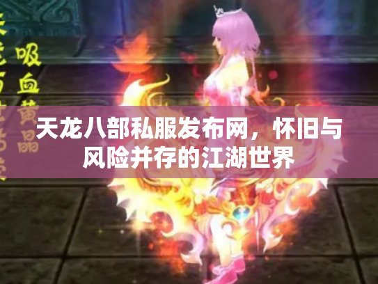 天龙八部私服发布网，怀旧与风险并存的江湖世界