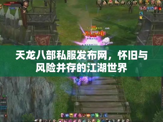 天龙八部私服发布网，怀旧与风险并存的江湖世界