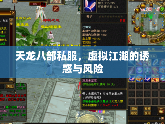 天龙八部私服，虚拟江湖的诱惑与风险