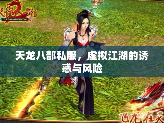 天龙八部私服，虚拟江湖的诱惑与风险