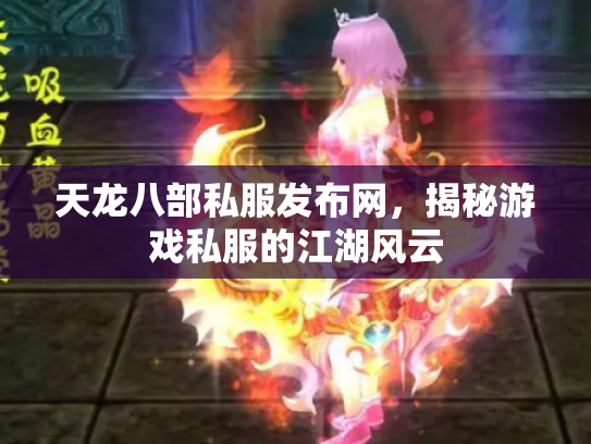 天龙八部私服发布网，揭秘游戏私服的江湖风云