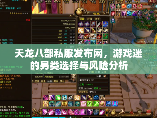 天龙八部私服发布网，游戏迷的另类选择与风险分析
