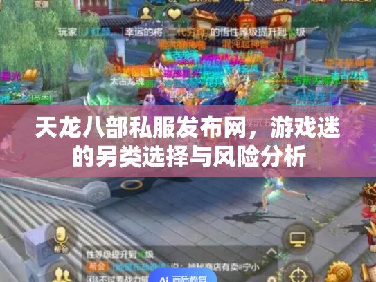 天龙八部私服发布网，游戏迷的另类选择与风险分析