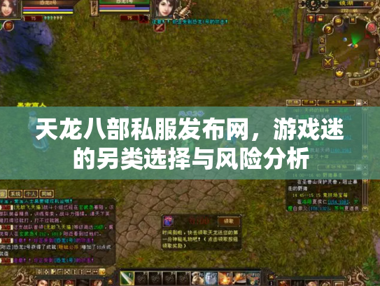 天龙八部私服发布网，游戏迷的另类选择与风险分析