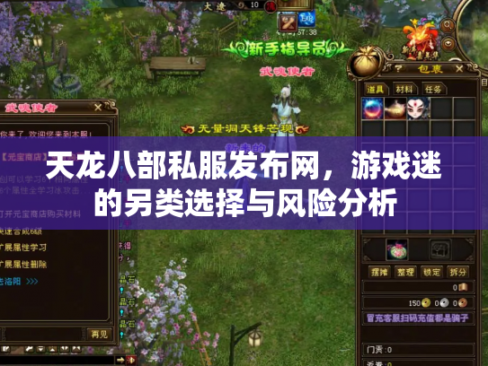 天龙八部私服发布网，游戏迷的另类选择与风险分析