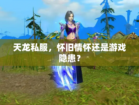 天龙私服，怀旧情怀还是游戏隐患？