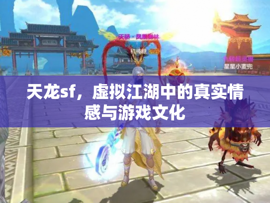 天龙sf，虚拟江湖中的真实情感与游戏文化