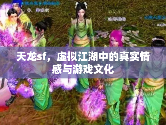 天龙sf，虚拟江湖中的真实情感与游戏文化