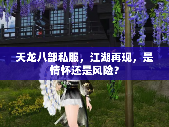 天龙八部私服，江湖再现，是情怀还是风险？