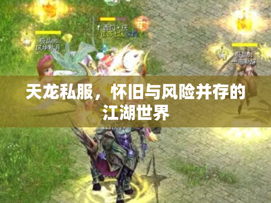 天龙私服，怀旧与风险并存的江湖世界