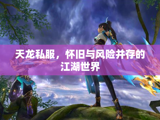 天龙私服，怀旧与风险并存的江湖世界