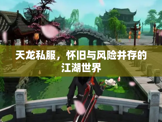天龙私服，怀旧与风险并存的江湖世界