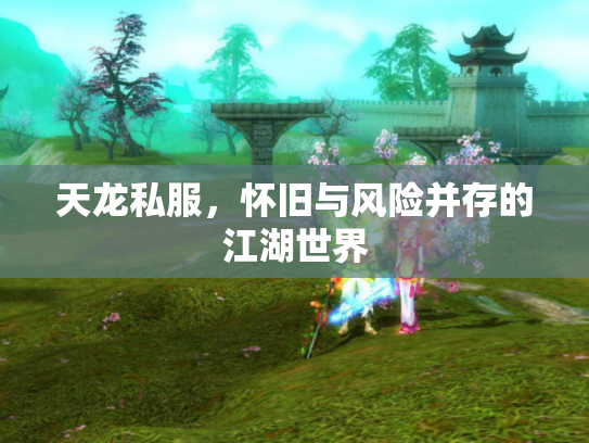 天龙私服，怀旧与风险并存的江湖世界