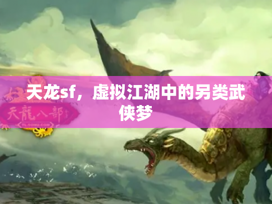 天龙sf，虚拟江湖中的另类武侠梦