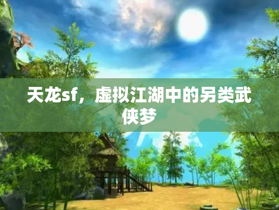 天龙sf，虚拟江湖中的另类武侠梦