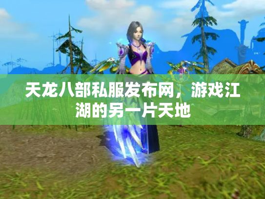 天龙八部私服发布网，游戏江湖的另一片天地