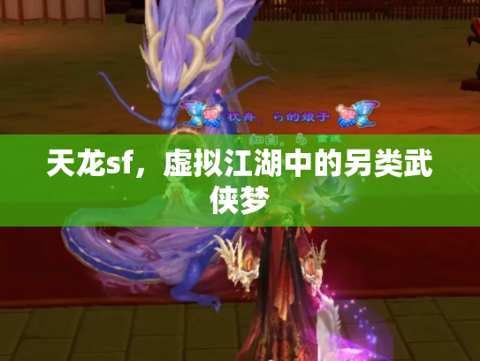 天龙sf，虚拟江湖中的另类武侠梦