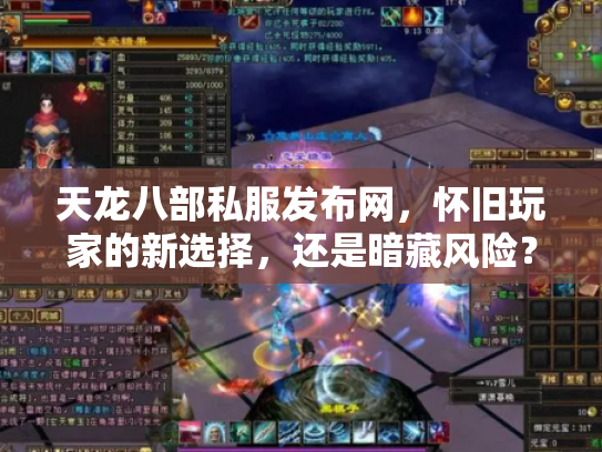 天龙八部私服发布网，怀旧玩家的新选择，还是暗藏风险？