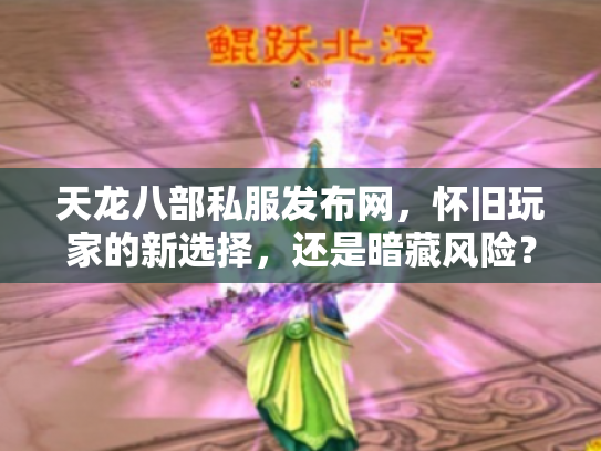 天龙八部私服发布网，怀旧玩家的新选择，还是暗藏风险？