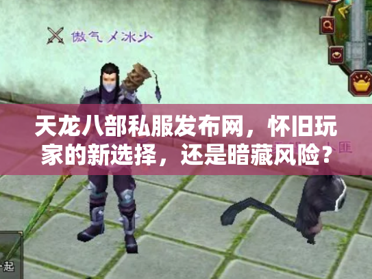 天龙八部私服发布网，怀旧玩家的新选择，还是暗藏风险？
