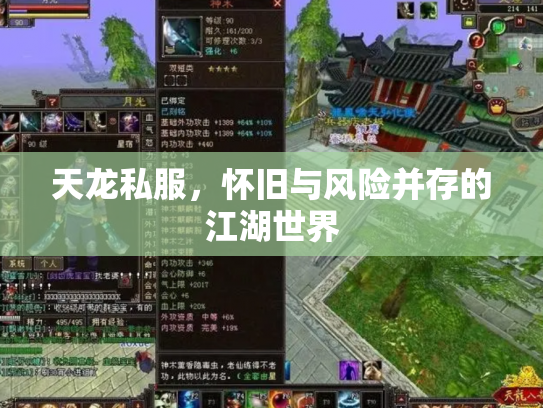 天龙私服，怀旧与风险并存的江湖世界